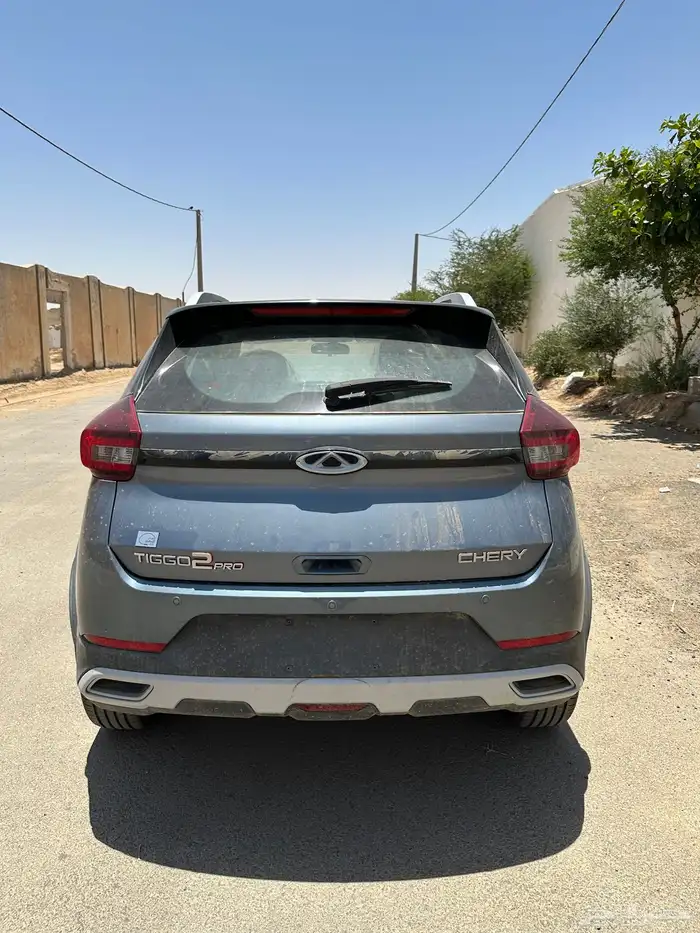 شيري اصفار جديده2024 9