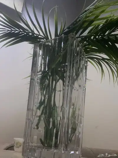 فازة زجاج ثقيل 0