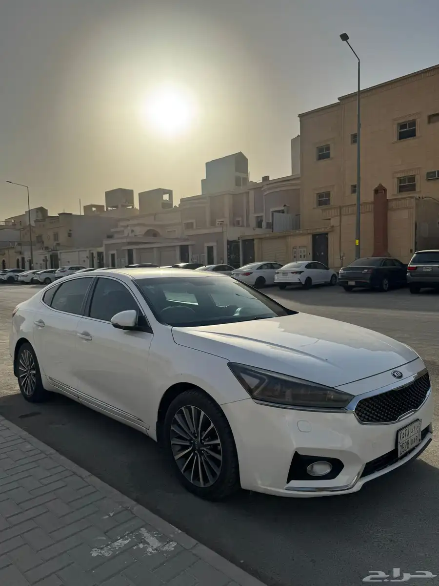 كيا كدينزا 2020 بدي بلد 2