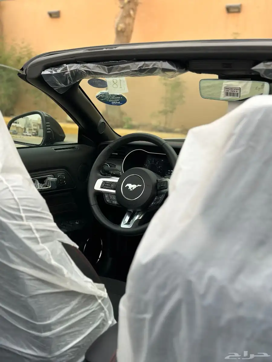 موستنج سعودي اعلى فئة (أخر حبة جديدةاصفار) 8