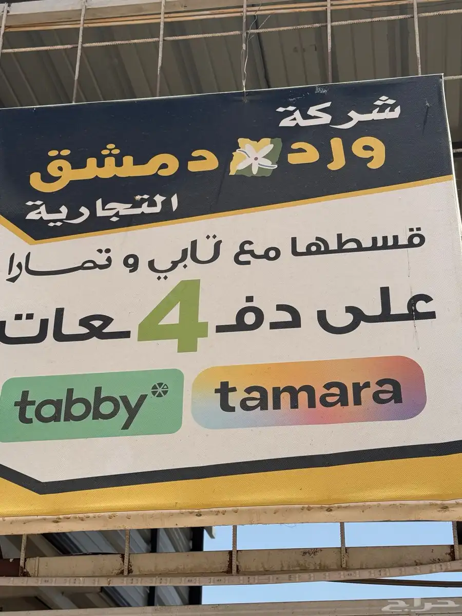 خرفان بربري وتيوس صومالي 4