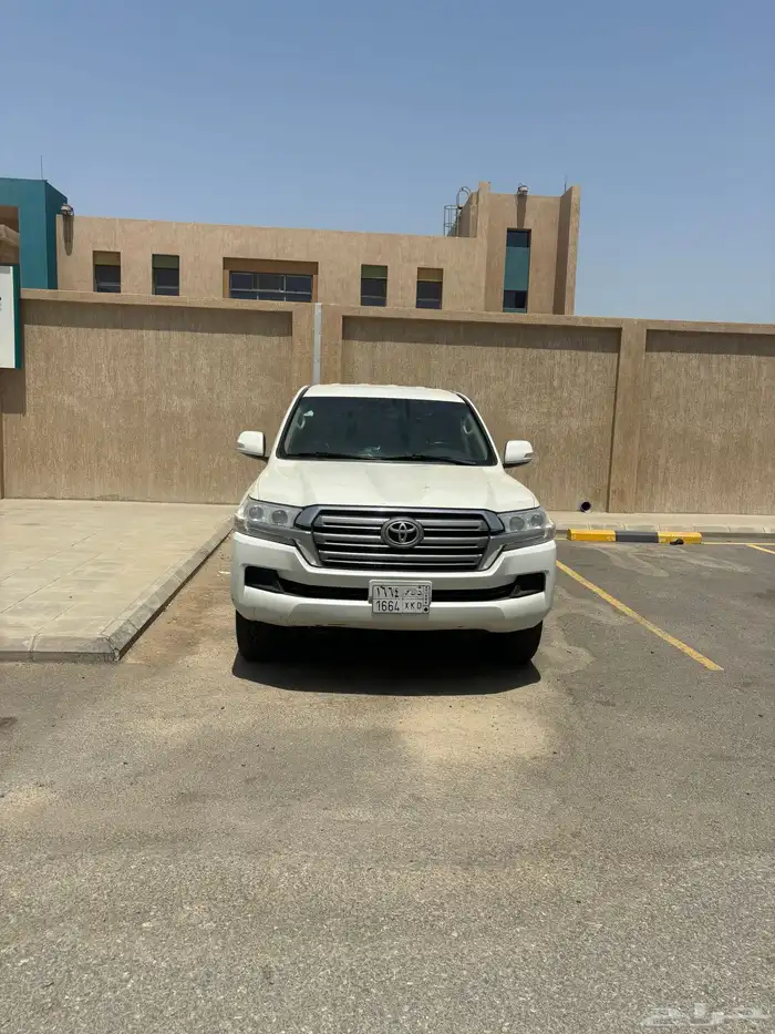 جيب صالون جكس 2020 0