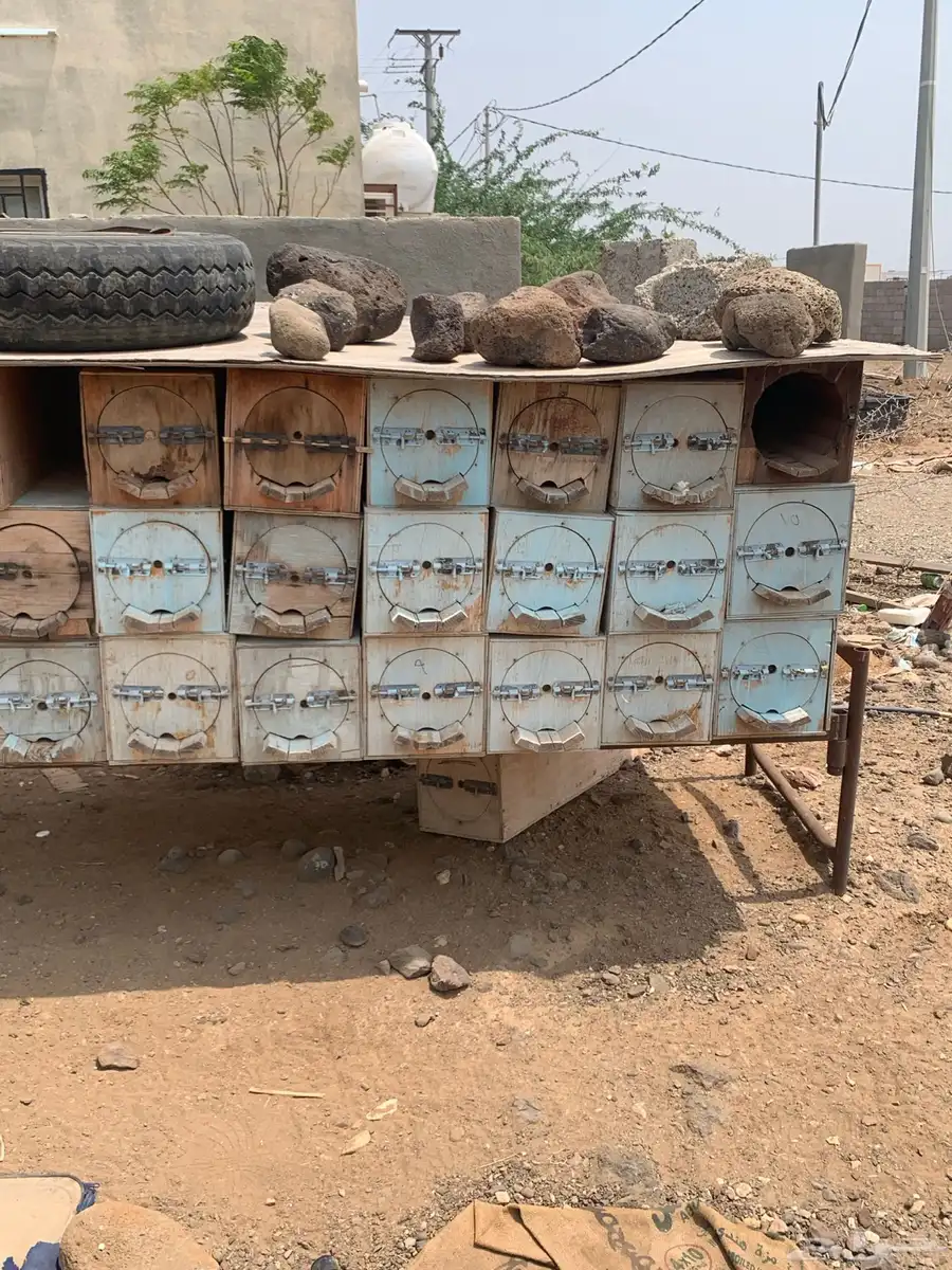 خلايا نحل فاضيه للبيع 6مل و9مل العدد 43 0