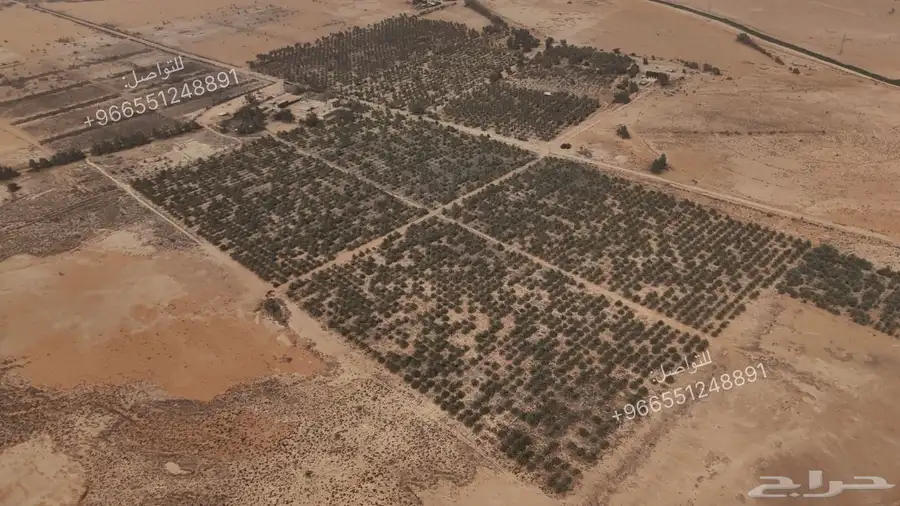 مصور جوي(درون)4K 4