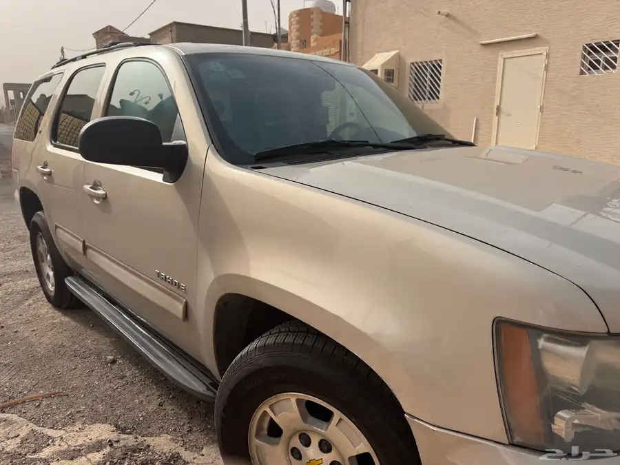 محايل عسير 15