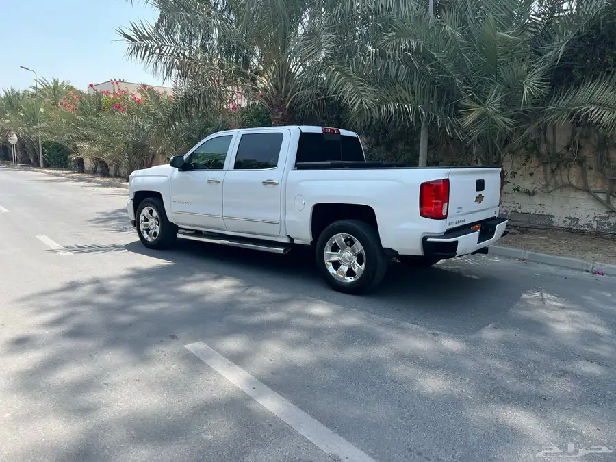 البيع سلفرادوه 1