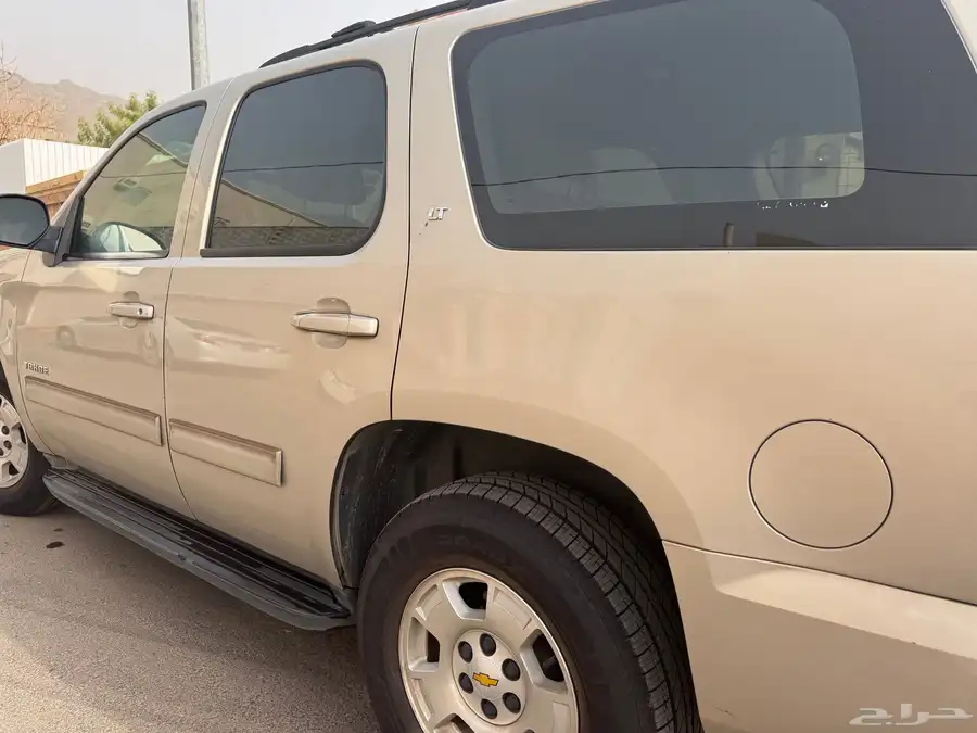 محايل عسير 17
