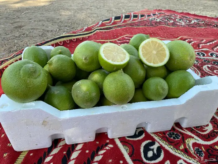 للبيع ثمار ليمون اضاليا فاخر 1