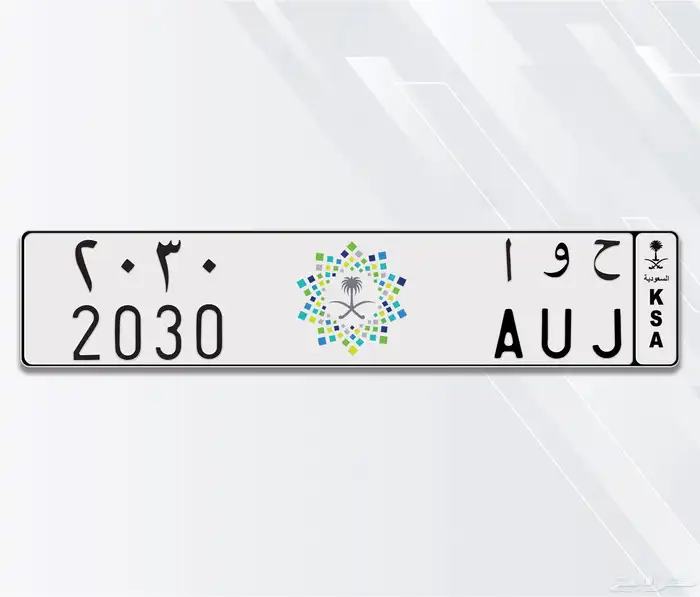 لوحة الرؤية مميزة ( ح و ا   2030 ) 0