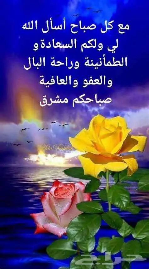 معلم قدرات وتحصيلي ورياضيات وانجليزي 0