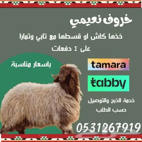 خرفان نعيمي كاش واقساط تابي 0