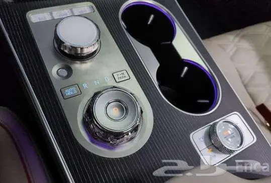 جينسس GV80 2.5T AWD كوبيه 12