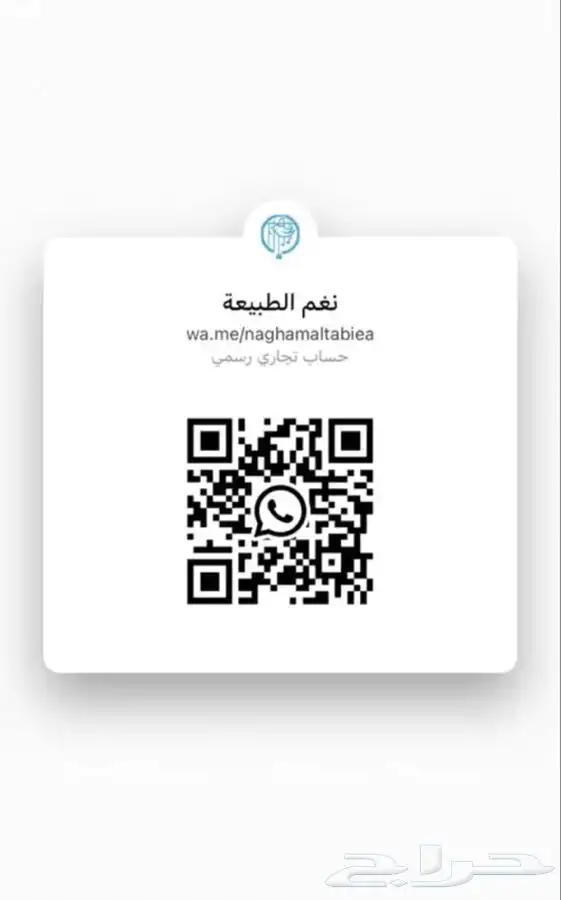 جوز ببغاء روز منتج 3