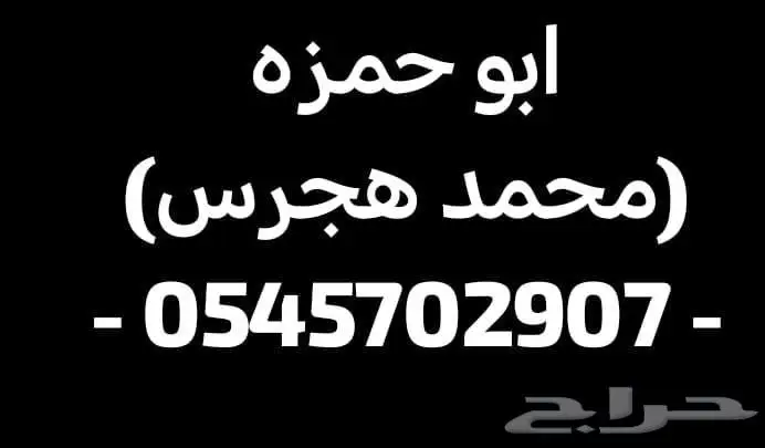 شانجان يوني اس 2025 تصفيات للكاش 8