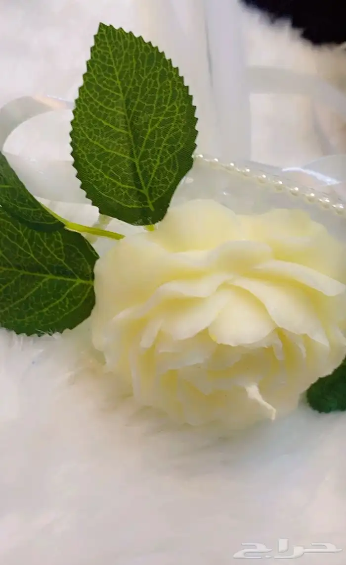 ورد جوري معطر باقه 4