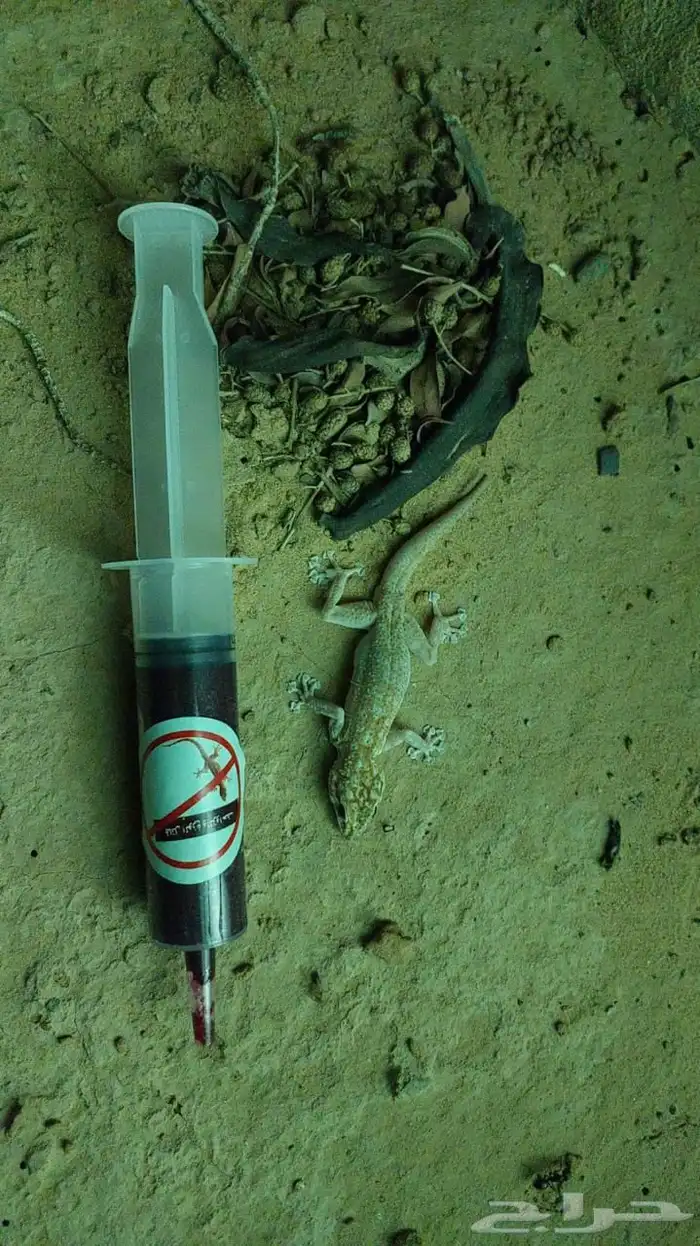يقضي على البرص او الوزغ 0