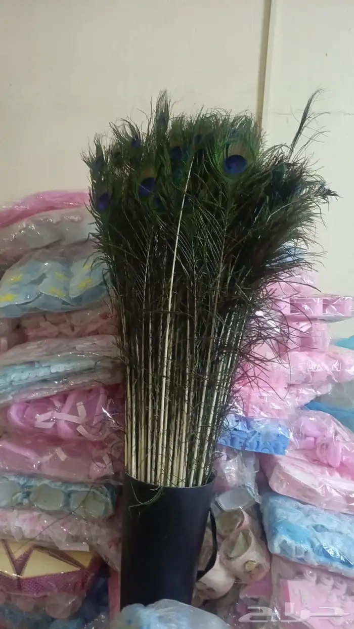 أغراض محل كامل للبيع 12