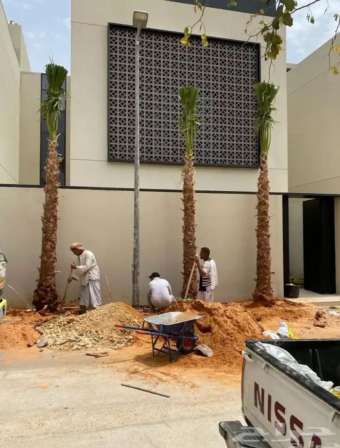 تنسيق الحدائق المنزلية 5