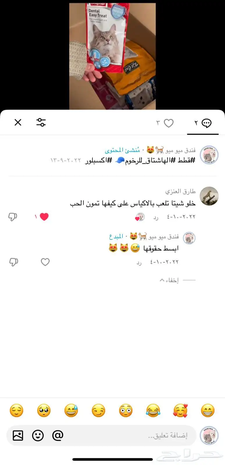 فندقة قطط 3