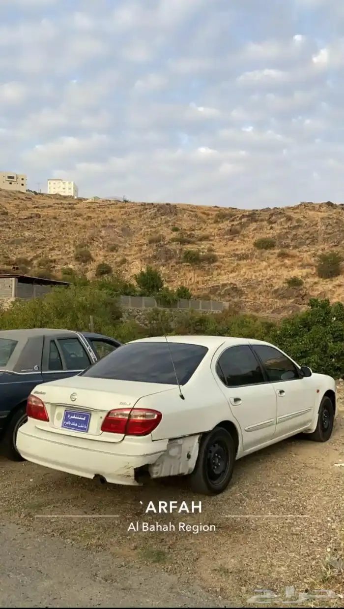 مكسيما 2007 3