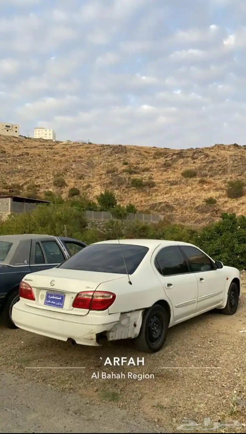 مكسيما 2007 3
