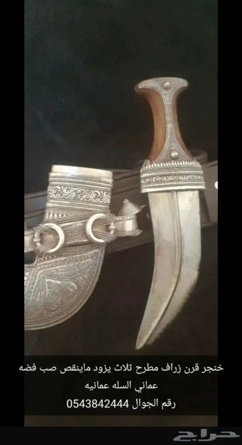 جنبيه جوال صاحبها عليها ورجال ثقه 0