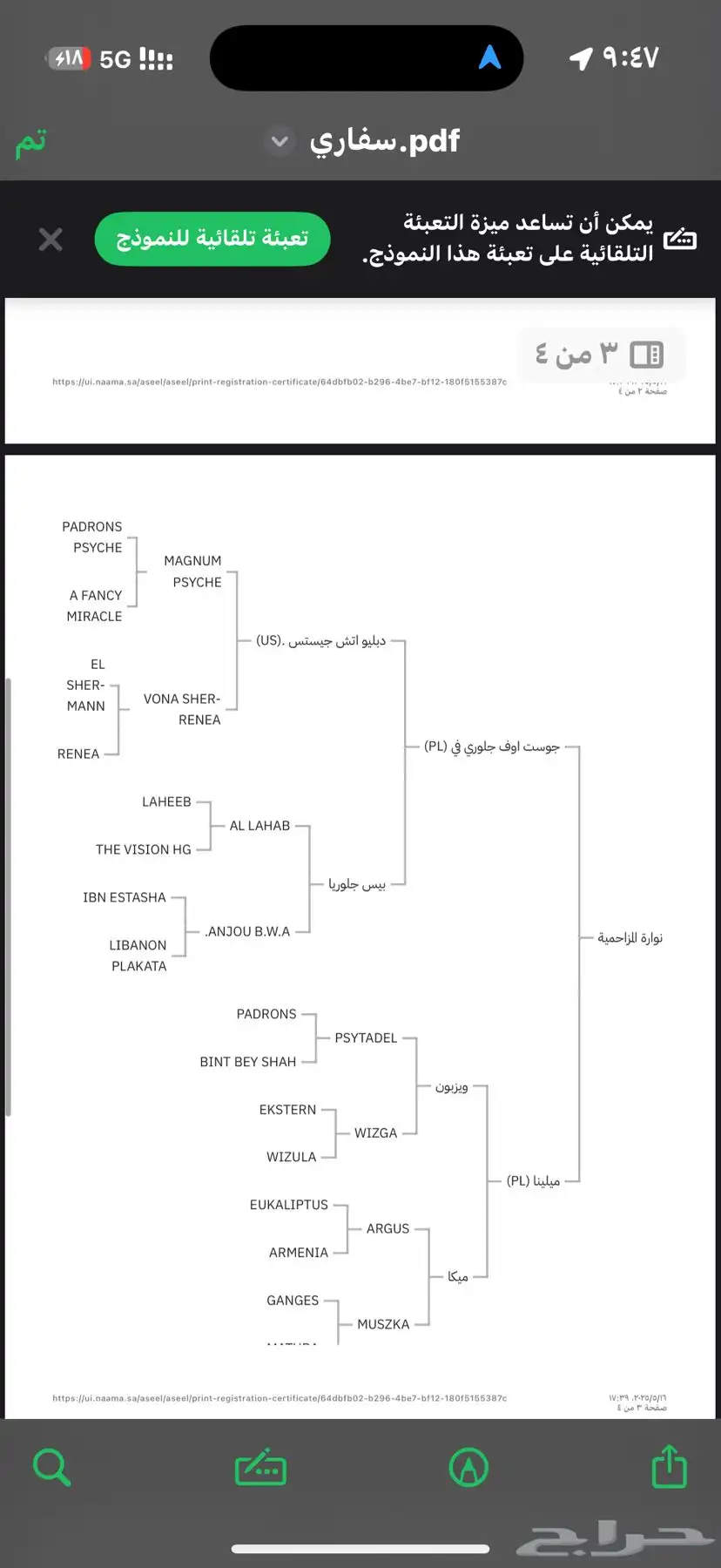 فرس واهو 5