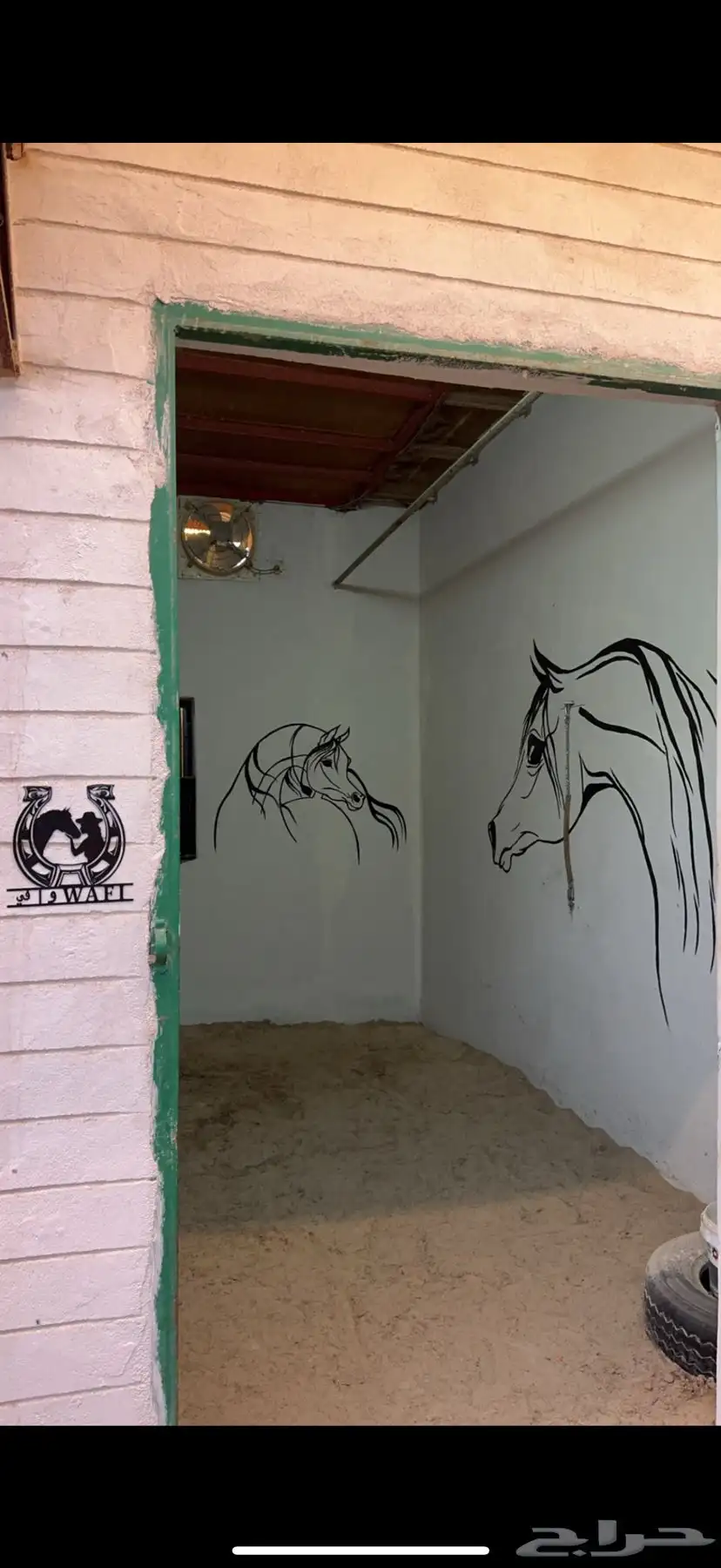 رسم على جداري او لسطبلات او غرف خيل 2