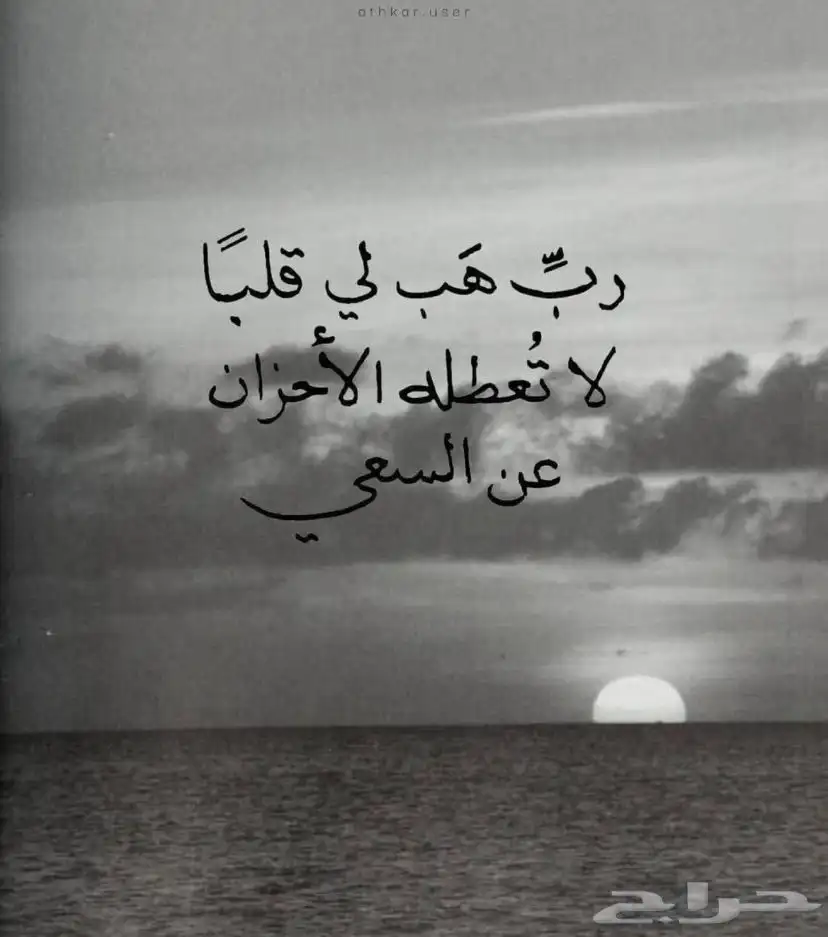 توصيل مشاوير داخل وخارج تبوك ونيوم وخارج نيوم 0