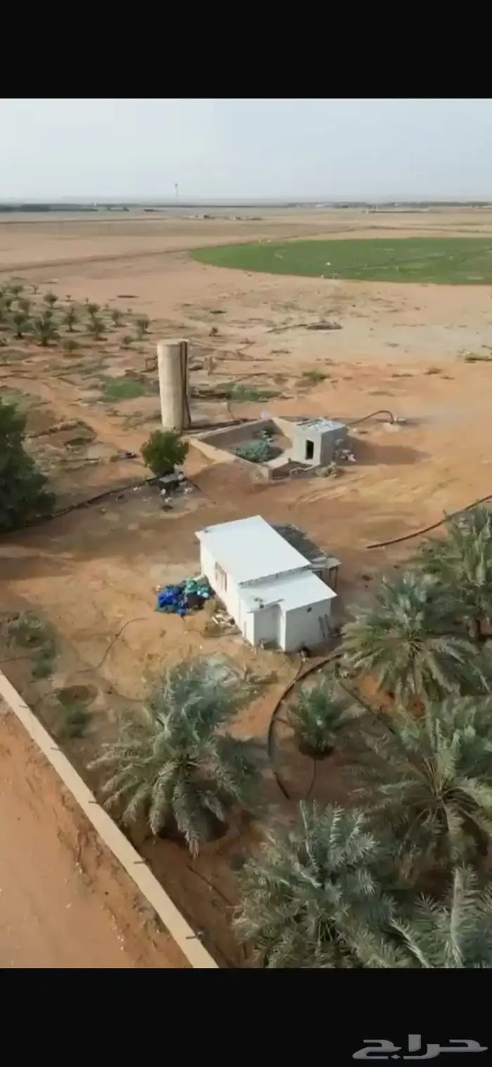 للبيع مزرعة مساحه 215572 الف بالغاط مشغلة ووجاهزة 5