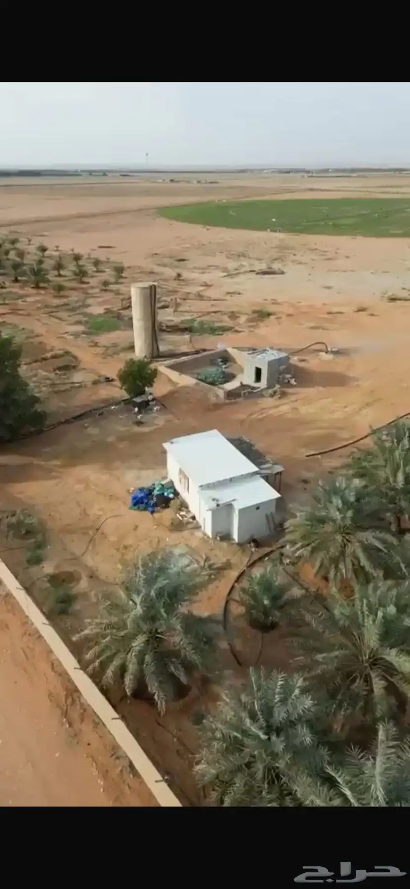 للبيع مزرعة مساحه 215572 الف بالغاط مشغلة ووجاهزة 5