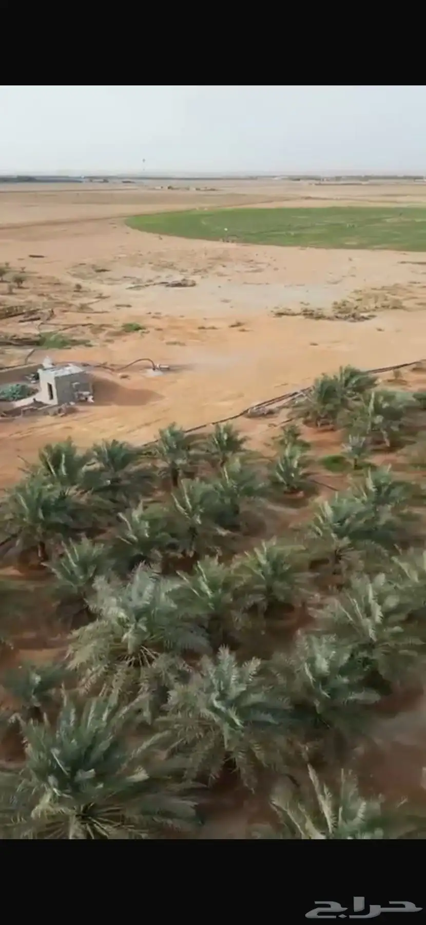 للبيع مزرعة مساحه 215572 الف بالغاط مشغلة ووجاهزة 6