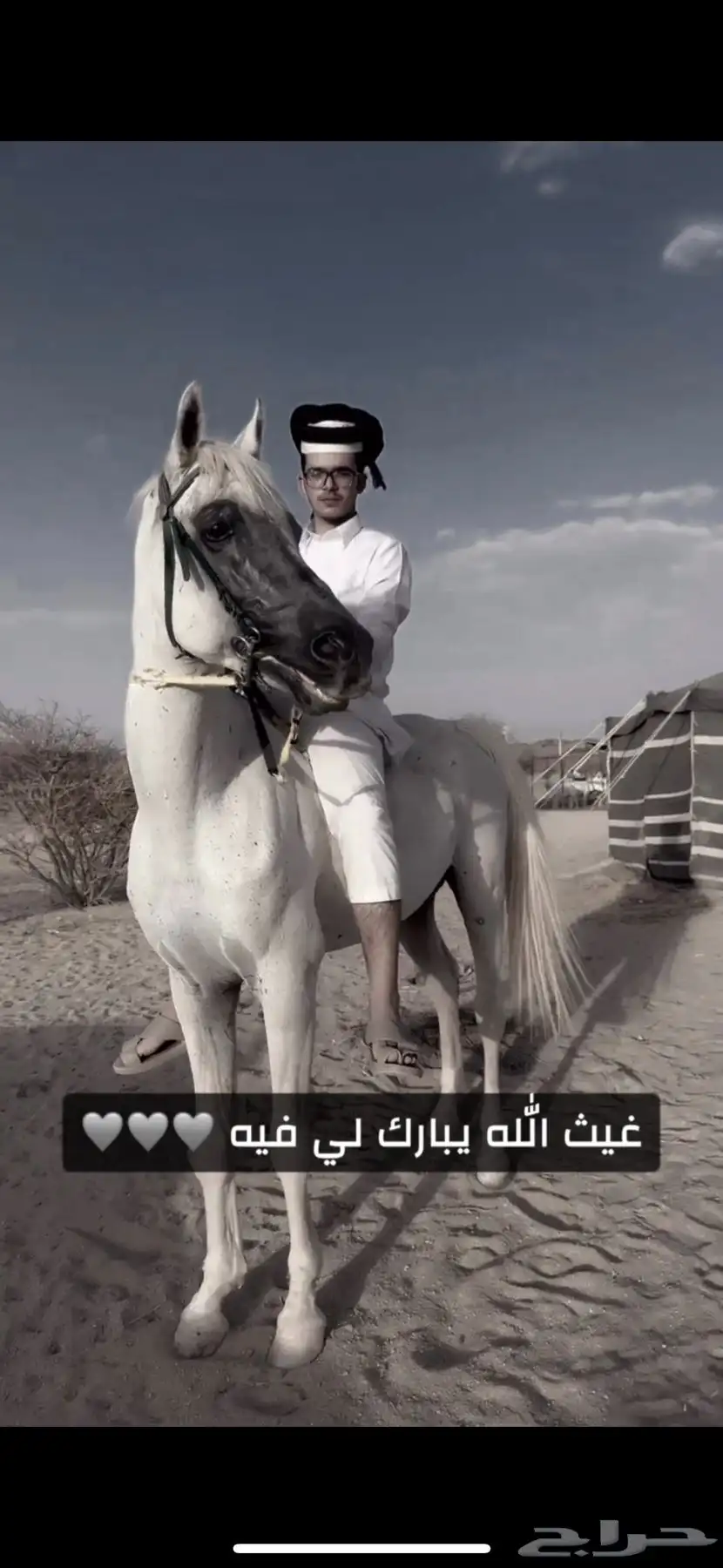 خيل 1