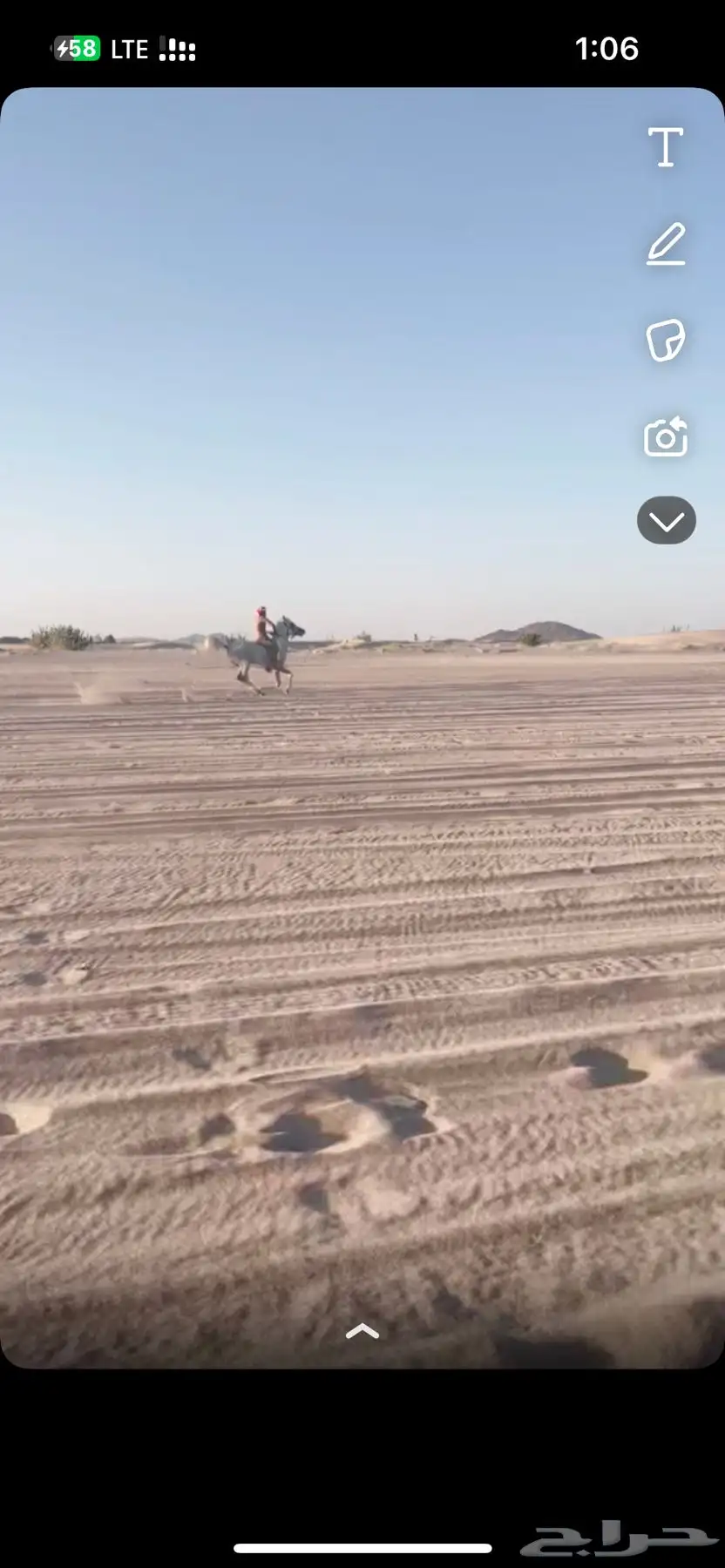 حصان شعبي كفوو 2