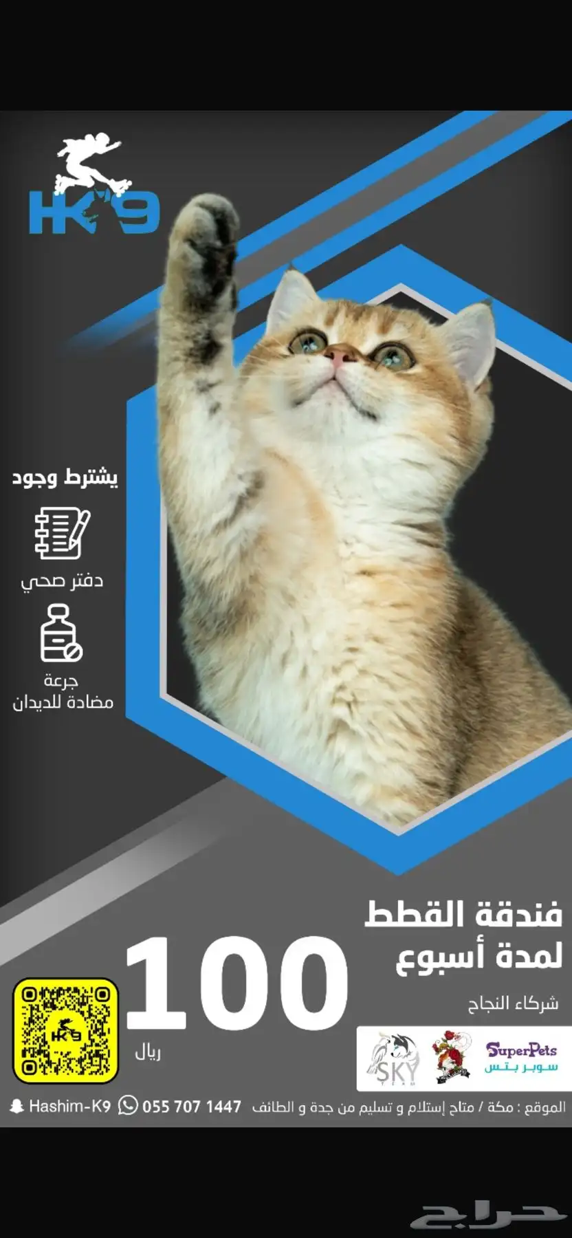 فندقه للقطط 2
