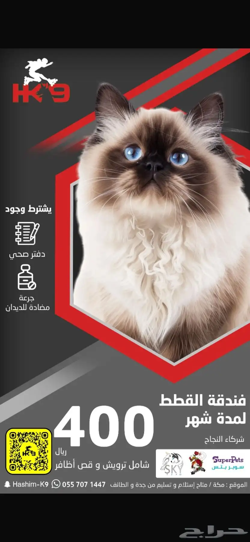 فندقه للقطط 3