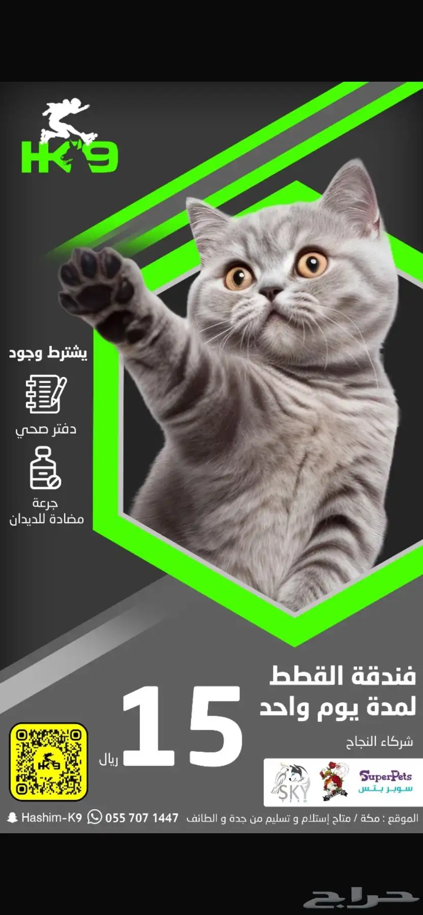 فندقه للقطط 1