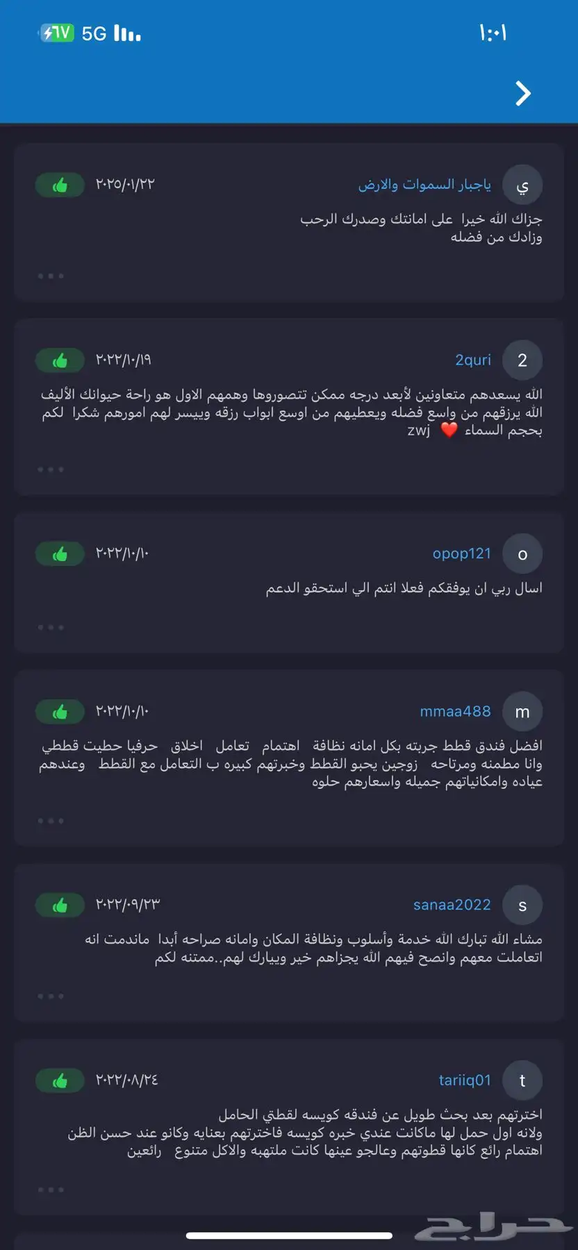 فندقة قطط 2
