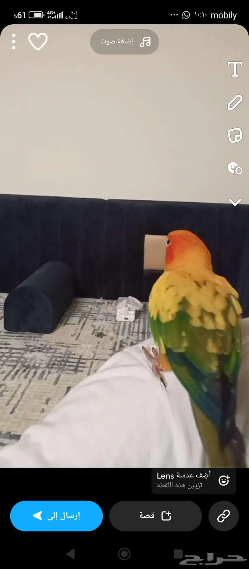 صن كنيور صائع مفقود حي النخيل 2