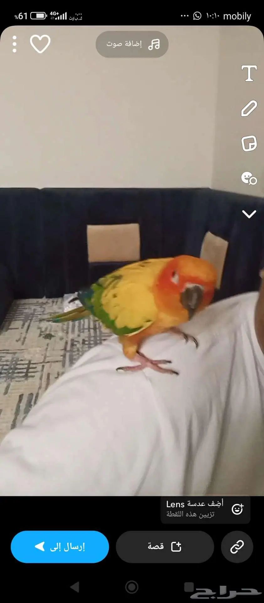 صن كنيور صائع مفقود حي النخيل 3