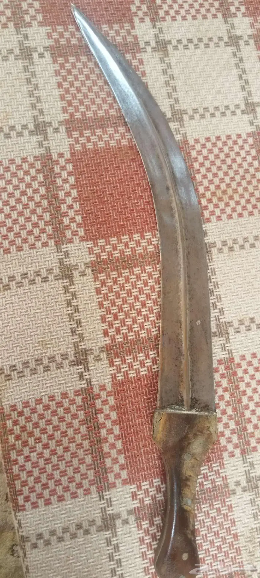 سلة اشبيل 0