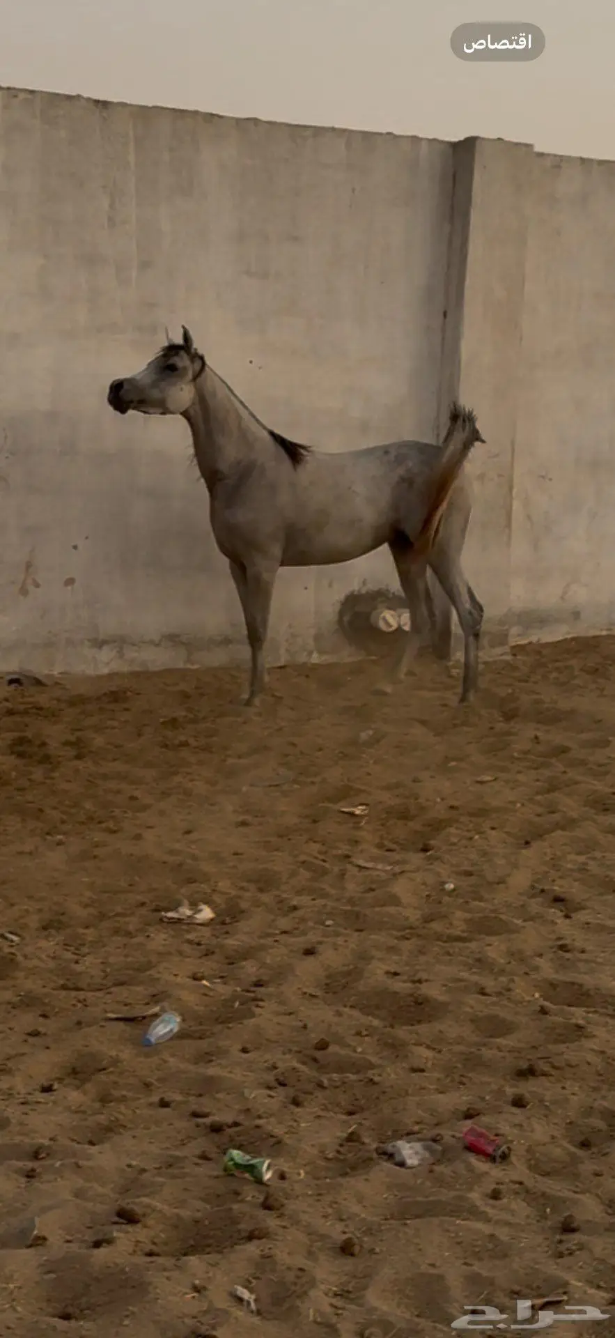 مهره 1