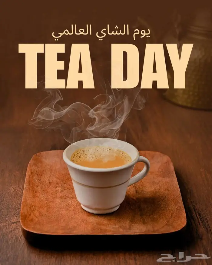 مصممة اعلانات احترافية 6