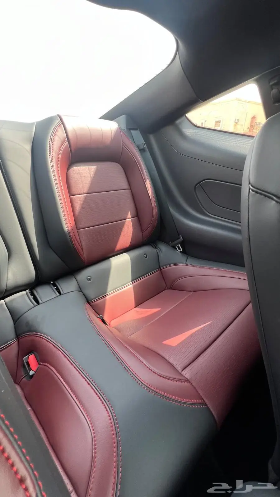 موستنق 2024 GT premium اصفار 7
