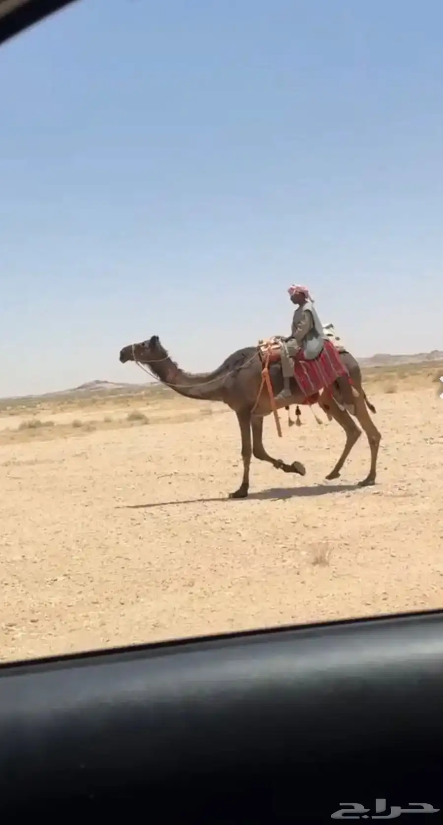 رحول مجهم طوع 0