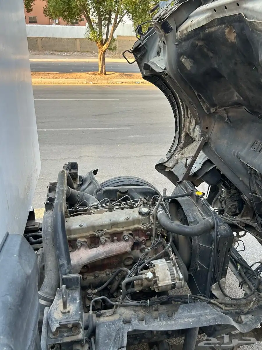 دينا للبيع 2012 3