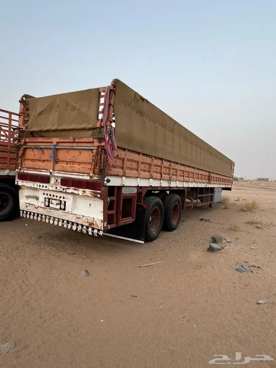 تيدر المنيف 0