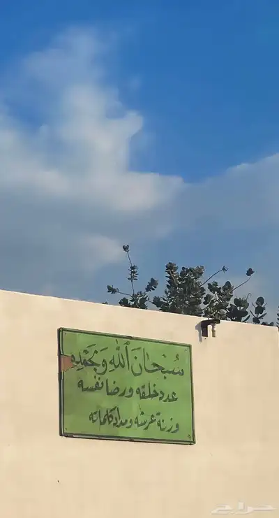 دباب عجيب 0