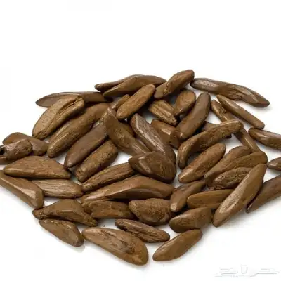 عود مروكي محسن 0