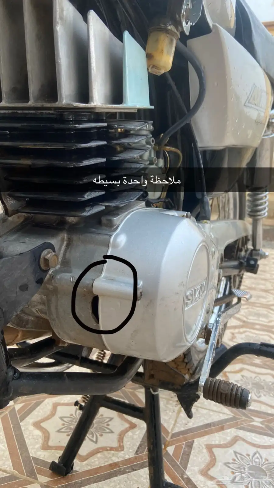 دباب للبيع 6